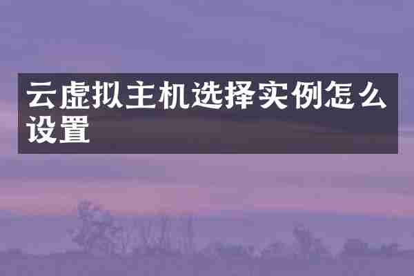 云虚拟主机选择实例怎么设置