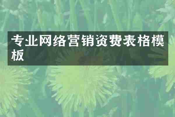 专业网络营销资费表格模板