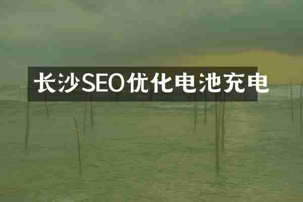 长沙SEO优化电池充电