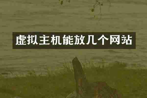 虚拟主机能放几个网站