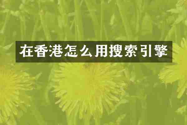 在香港怎么用搜索引擎