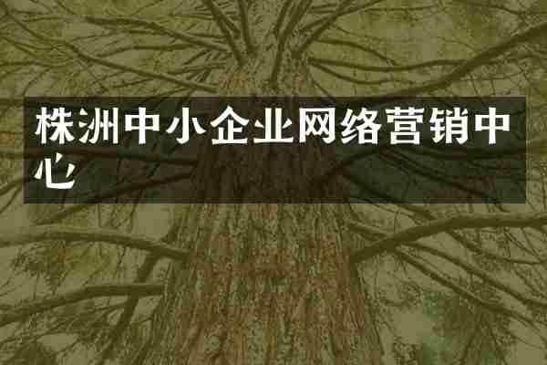 株洲中小企业网络营销中心