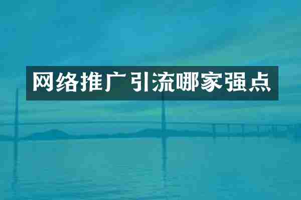 网络推广引流哪家强点