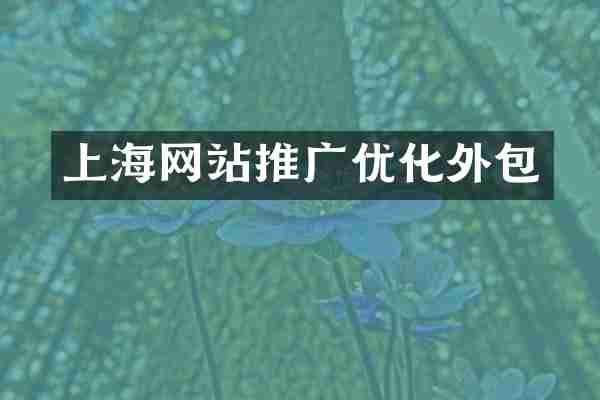 上海网站推广优化外包
