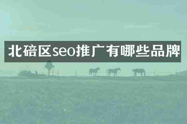 北碚区seo推广有哪些品牌