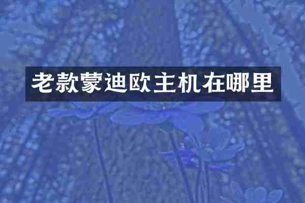 老款蒙迪欧主机在哪里