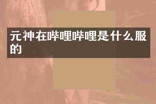 元神在哔哩哔哩是什么服的