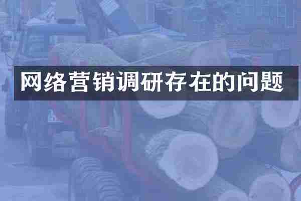 网络营销调研存在的问题