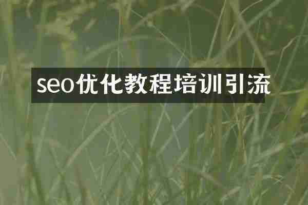 seo优化教程培训引流
