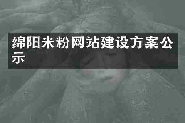 绵阳米粉网站建设方案公示