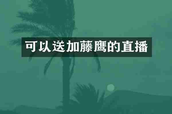 可以送加藤鹰的直播