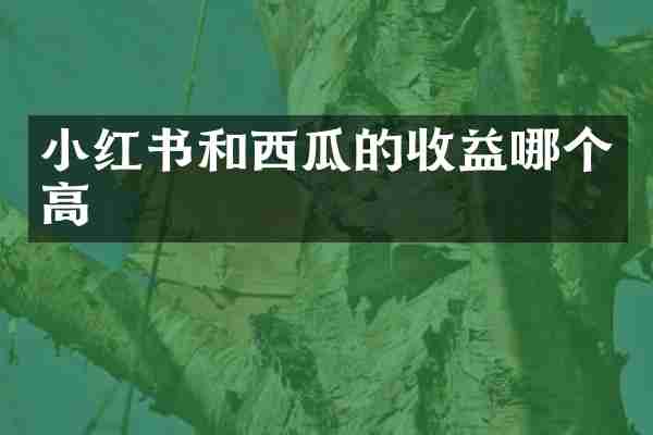 小红书和西瓜的收益哪个高