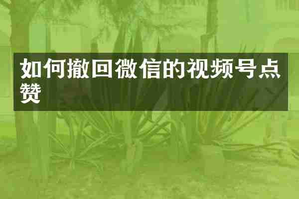 如何撤回微信的视频号点赞