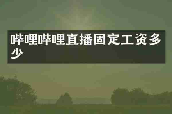 哔哩哔哩直播固定工资多少