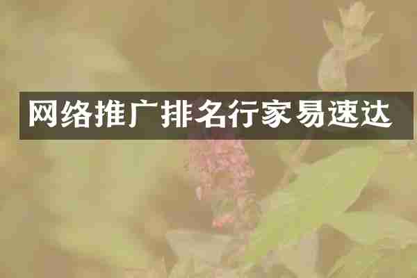 网络推广排名行家易速达