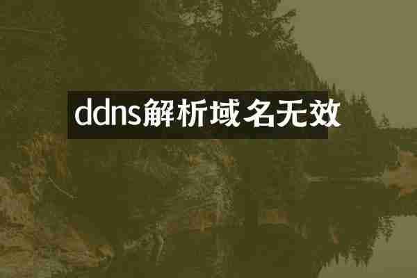 ddns解析域名无效