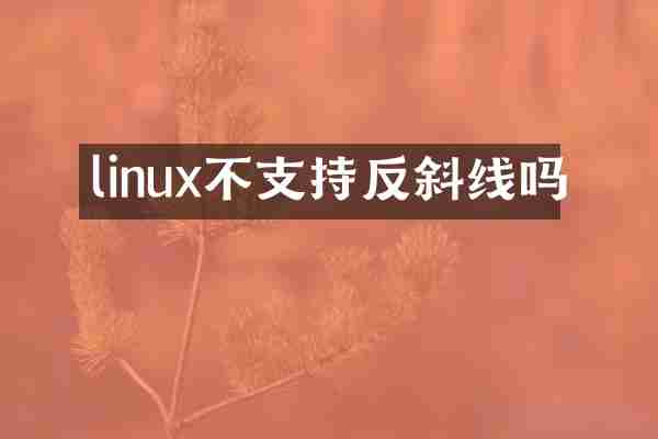 linux不支持反斜线吗