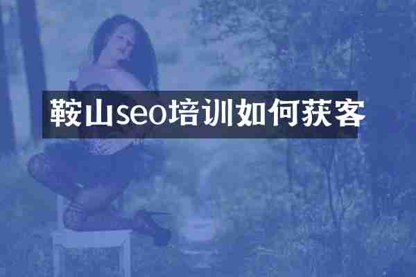 鞍山seo培训如何获客