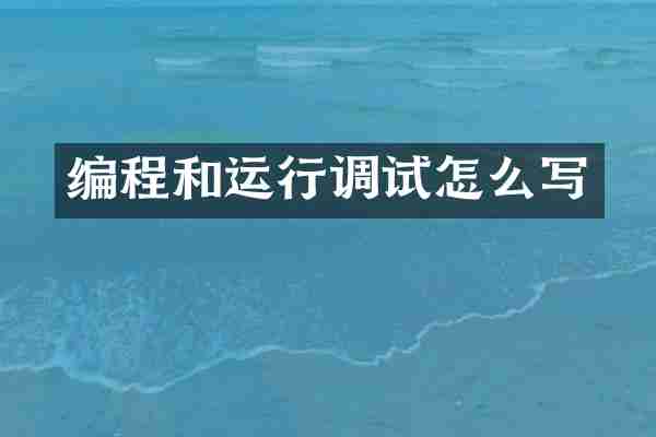 编程和运行调试怎么写