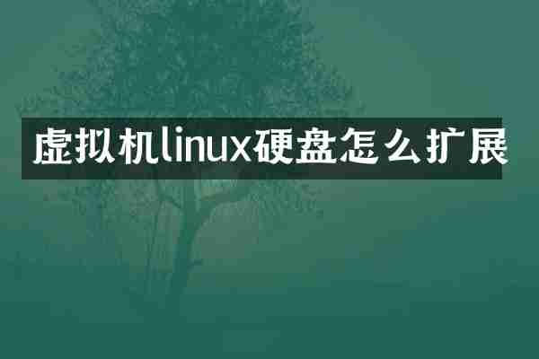 虚拟机linux硬盘怎么扩展