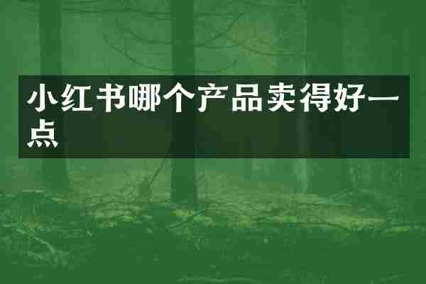 小红书哪个产品卖得好一点