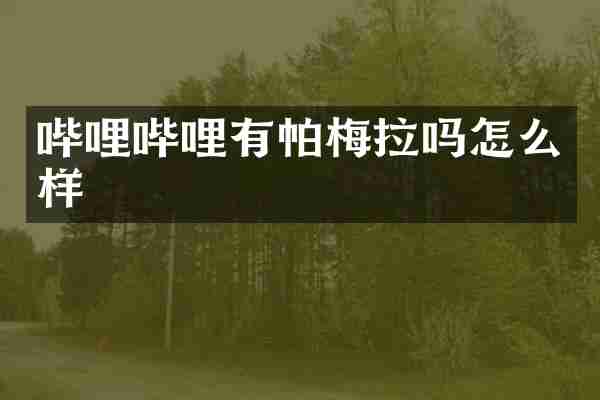 哔哩哔哩有帕梅拉吗怎么样