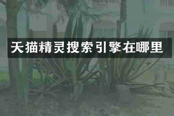 天猫精灵搜索引擎在哪里