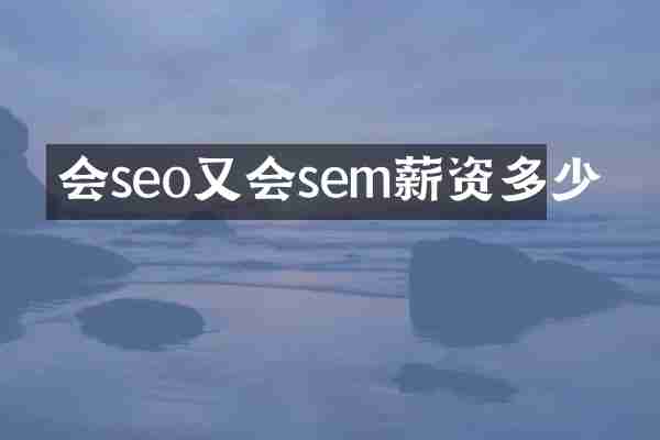 会seo又会sem薪资多少