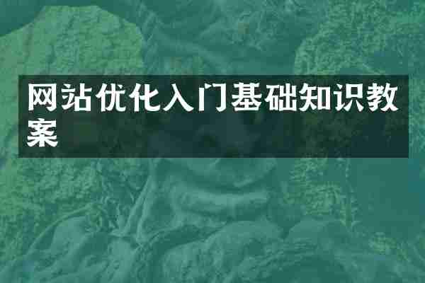 网站优化入门基础知识教案