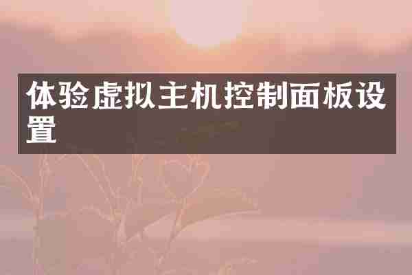体验虚拟主机控制面板设置