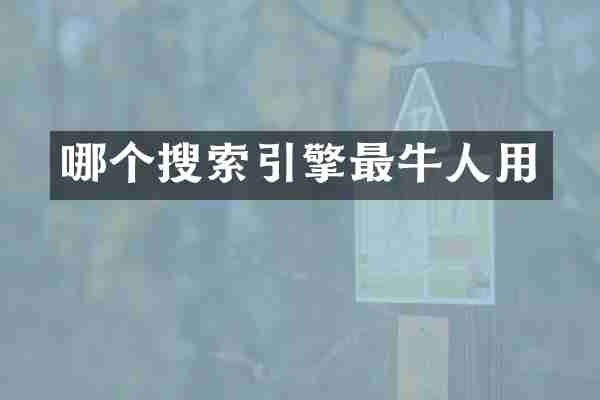 哪个搜索引擎最牛人用
