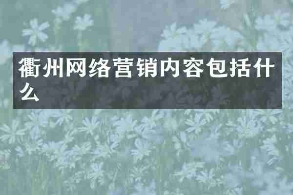衢州网络营销内容包括什么