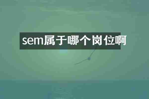 sem属于哪个岗位啊