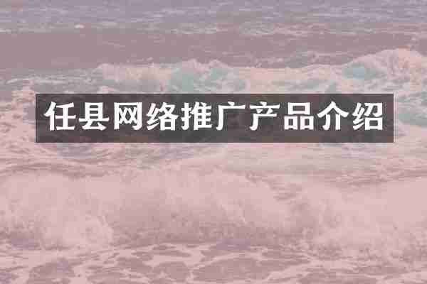 任县网络推广产品介绍