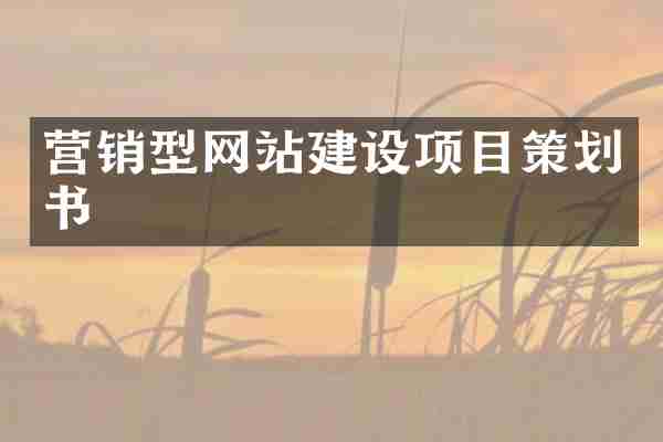 营销型网站建设项目策划书