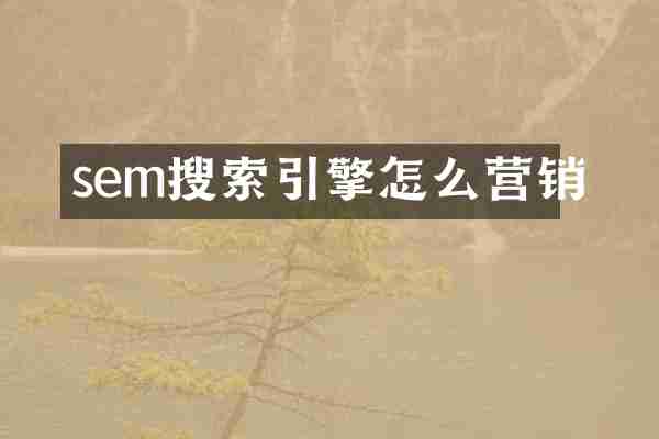 sem搜索引擎怎么营销