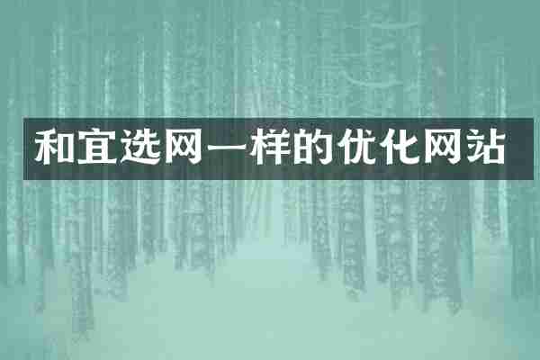 和宜选网一样的优化网站