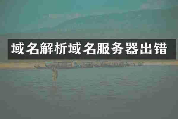 域名解析域名服务器出错
