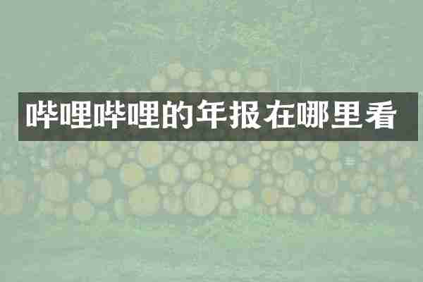 哔哩哔哩的年报在哪里看