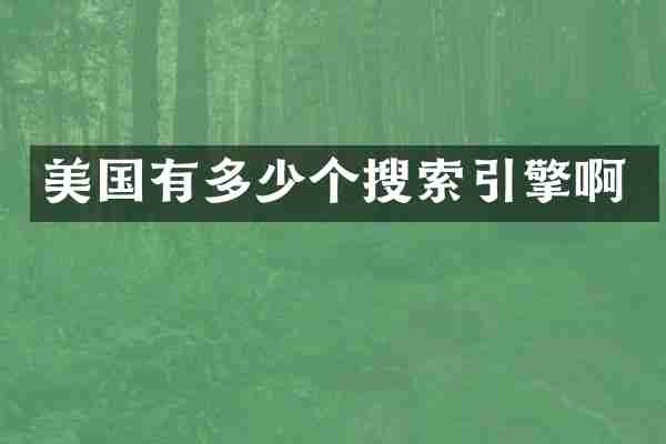 美国有多少个搜索引擎啊