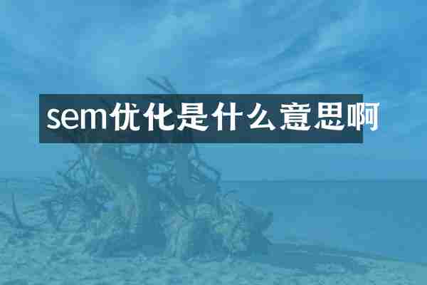 sem优化是什么意思啊