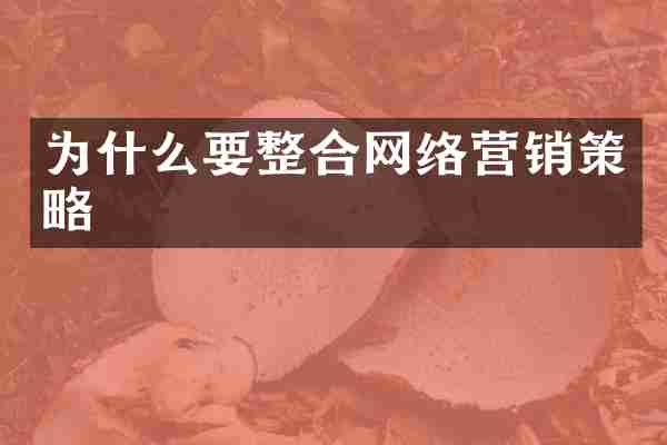 为什么要整合网络营销策略