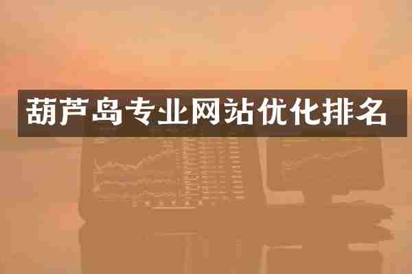 葫芦岛专业网站优化排名