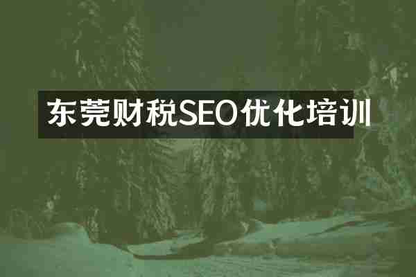 东莞财税SEO优化培训