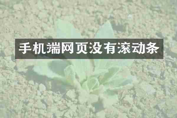 手机端网页没有滚动条