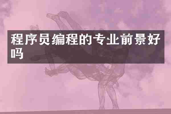 程序员编程的专业前景好吗