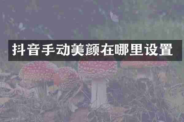 抖音手动美颜在哪里设置