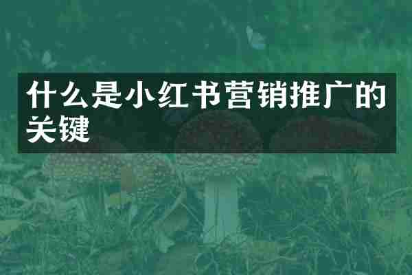 什么是小红书营销推广的关键