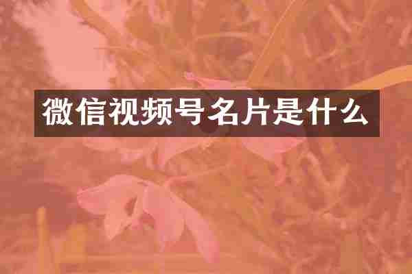 微信视频号名片是什么