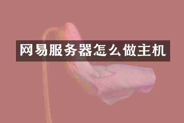 网易服务器怎么做主机